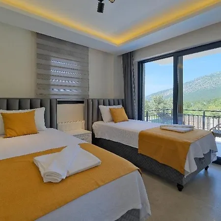 Villa Oeluedeniz De Oezel Havuzlu Muestakil Fethiye